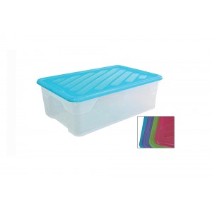 Κουτί φύλαξης Ρηχό Homeplast 43lt